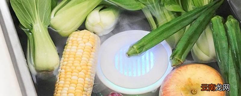 洗菜的时候放的那个仪器叫做什么