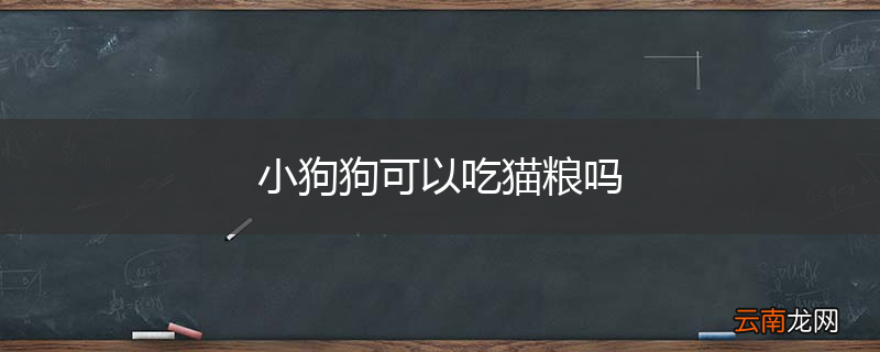 小狗狗可以吃猫粮吗