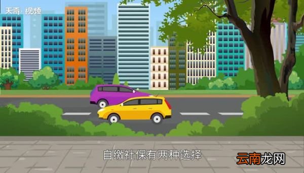 自费社保一年需交多少自费缴纳社保一年大概需要多少钱