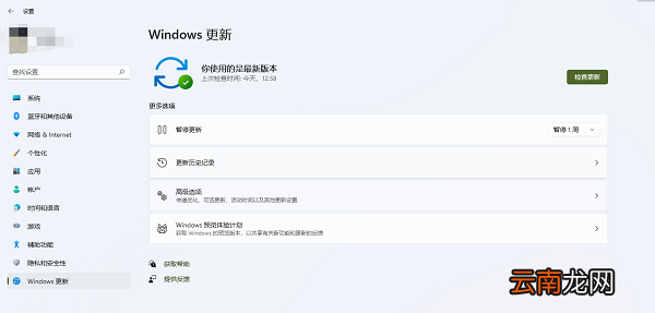 windows11怎么更新软件 windows11怎么更新