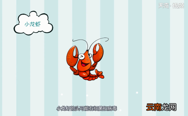 小龙虾的头能吃吗 小龙虾的头能吃吧