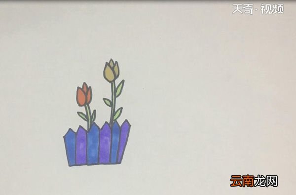 郁金香简笔画