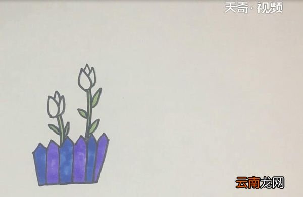 郁金香简笔画