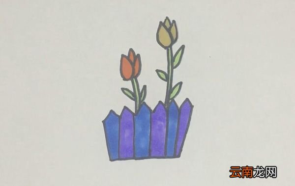 郁金香简笔画