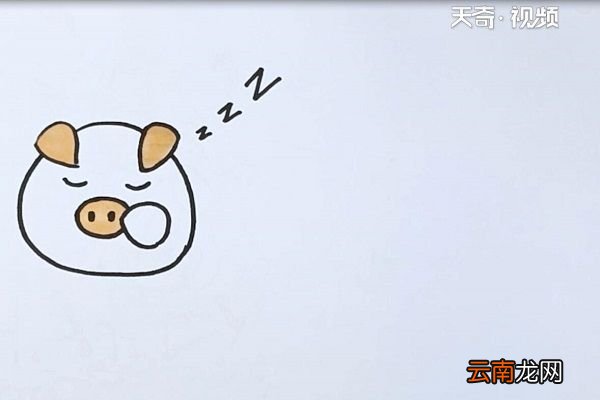 猪头简笔画