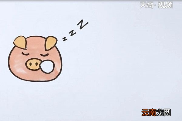 猪头简笔画