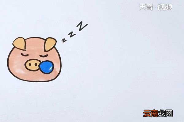 猪头简笔画