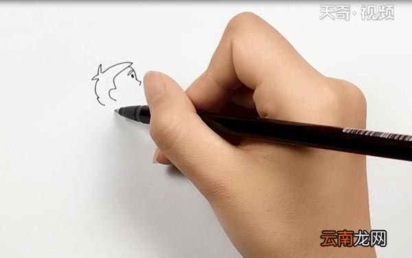 篮球运动员简笔画