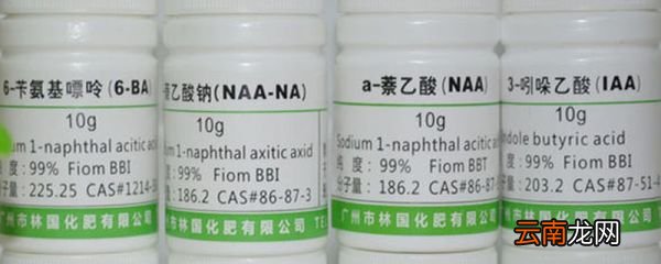 吲哚乙酸的作用和用法 吲哚乙酸用法和用量