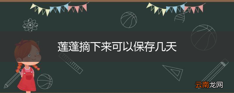 莲蓬摘下来可以保存几天