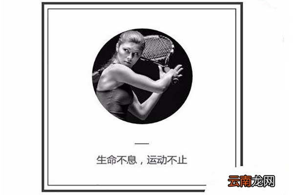 i排版如何把图片变成圆形图 圆形图片设置介绍
