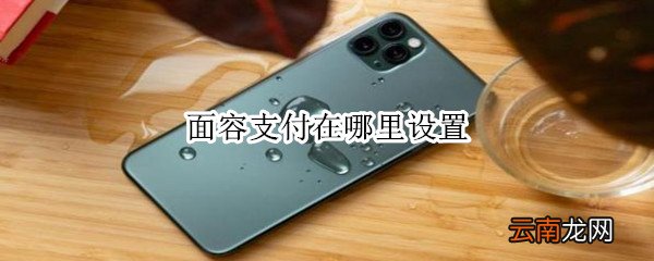 面容支付在哪里设置
