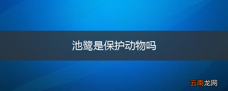 池鹭是保护动物吗