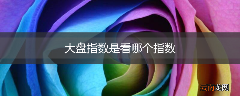 大盘指数是看哪个指数