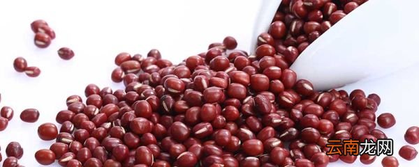 红豆赤小豆区别 如何区分赤小豆和红豆