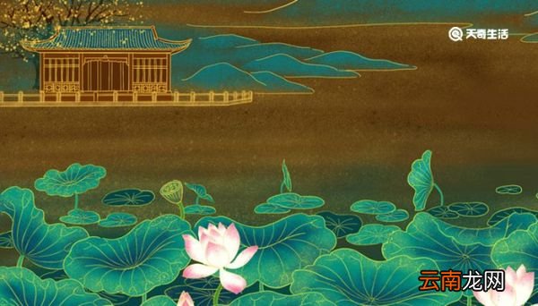 爱莲说中莲花的品质 爱莲说中莲花的美好之处