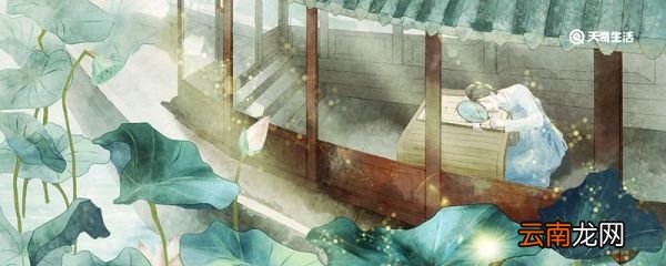 爱莲说中莲花的品质 爱莲说中莲花的美好之处